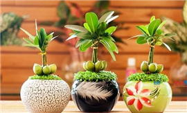 Cách khai vận phong thủy nhà ở để vượng phát 6 tháng cuối năm 2016