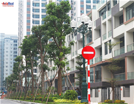 Hệ thống cây xanh cảnh quan tại Mon City